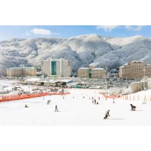 비발디파크 소노벨 B·C (강원도 홍천)