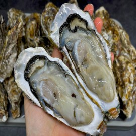 ★여수 석화굴 3kg