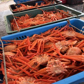 A급 후포리 박달홍게 4kg