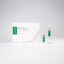 듀얼 믹스 AC 앰플