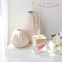 (롯데백화점 판매) [다비디퓨저] 프리미엄 우드 실내용 방향제 100ml 1+1세트
