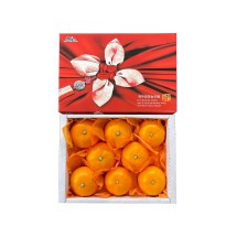 [제주를담아] 프리미엄 황금향 2kg