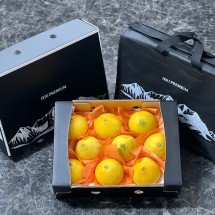 [제주를담아] 프리미엄 황금향 3kg