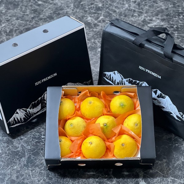 [제주를담아] 프리미엄 황금향 3kg