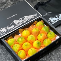 [제주를담아] 프리미엄 황금향 4kg