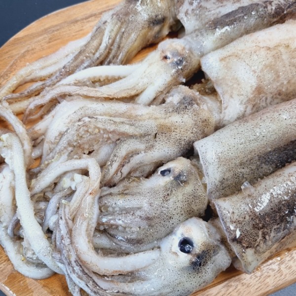동해안 급냉 선동오징어 1kg