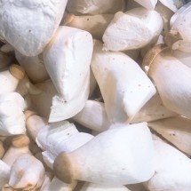 못난이 새송이버섯 파지품 2kg