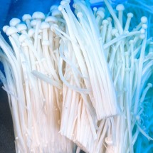 국내산 팽이버섯 파지품 비급 1kg