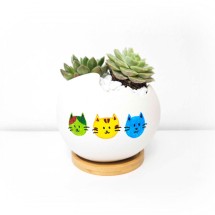 달걀모양 컬러링 다육이 화분 만들기 DIY키트