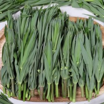 제천 월악산 둥굴레순 1kg