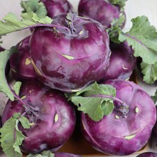 충북 괴산 콜라비 3kg (3-5과)
