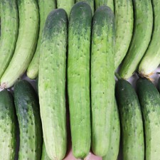 괴산 청년농부의 백오이 상 30개