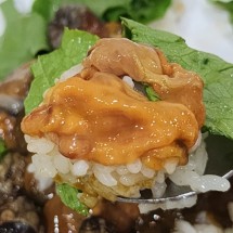 국내산 미더덕 1kg 생물 횟감