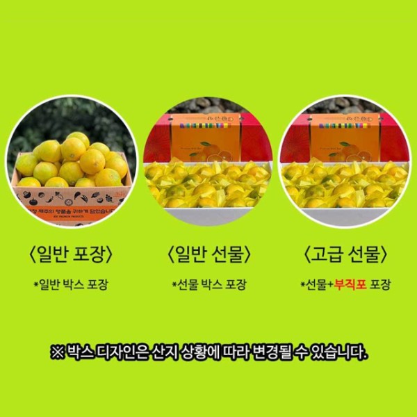 제주 하우스감귤 3kg 선물 소과 2S-S