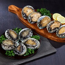 [기품맛담] 완도 프리미엄 활전복 선물세트 1.0kg 18~20미