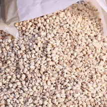 경북 영주 황가네 율무 1kg