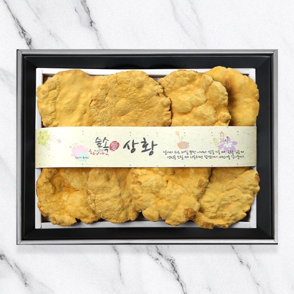 [영진표고]숲속애 상황버섯GIFT