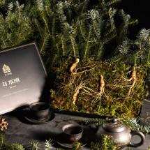 [더 기다림] 강원도 토종 산양산삼 선물세트 1호 산양삼 4뿌리 [5년~6년근]