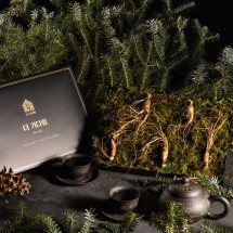 [더 기다림] 강원도 토종 산양산삼 선물세트 2호 산양삼 5뿌리 [5년~6년근]