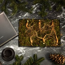 [더 기다림] 강원도 토종 산양산삼 선물세트 3호 산양삼 6뿌리 [5년~6년근]