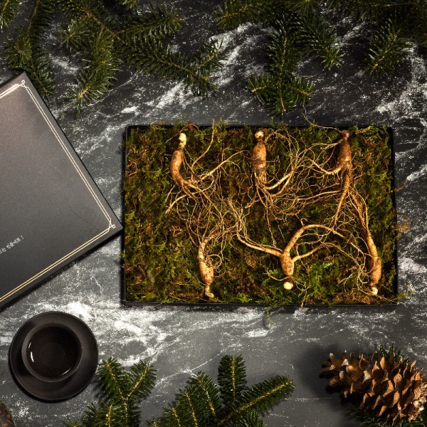 [더 기다림] 강원도 토종 산양산삼 선물세트 3호 산양삼 6뿌리 [5년~6년근]