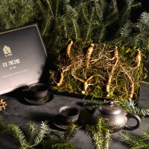 [더 기다림] 강원도 토종 산양산삼 선물세트 4호 산양삼 8뿌리 [5년~6년근]