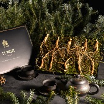 [더 기다림] 강원도 산양산삼 선물세트 5호 산양삼 10뿌리 [5년~6년근]