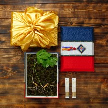 [1+1][고급포장][더 기다림]강원도 토종 산양산삼 선물세트2호[5-6년근 2뿌리+천연벌꿀 2봉]*2세트