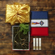 [고급포장][더 기다림]강원도 토종 산양산삼 선물세트3호[5-6년근 3뿌리+천연벌꿀 3봉]