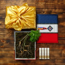 [고급포장][더 기다림]강원도 토종 산양산삼 선물세트4호[5-6년근 4뿌리+천연벌꿀 4봉]