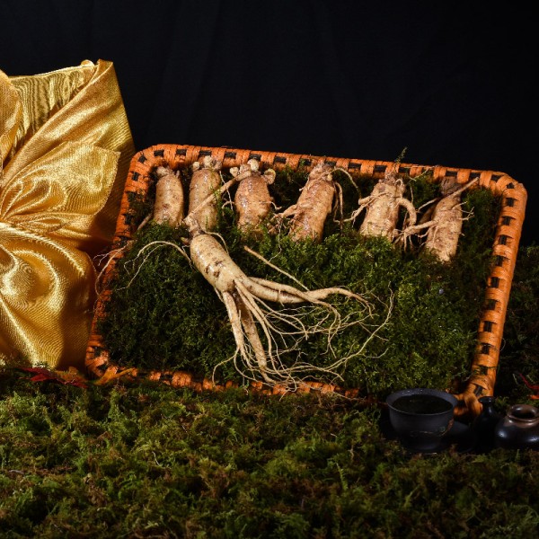 [고급포장][더 기다림] 리얼 골드명작 수삼 선물세트 2호 7뿌리(500g)+채반