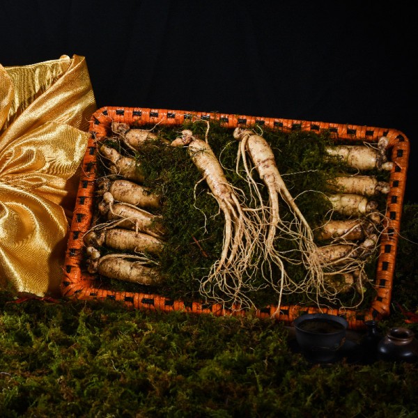 [고급포장][더 기다림] 리얼 골드명작 수삼 선물세트 3호 14뿌리(750g)