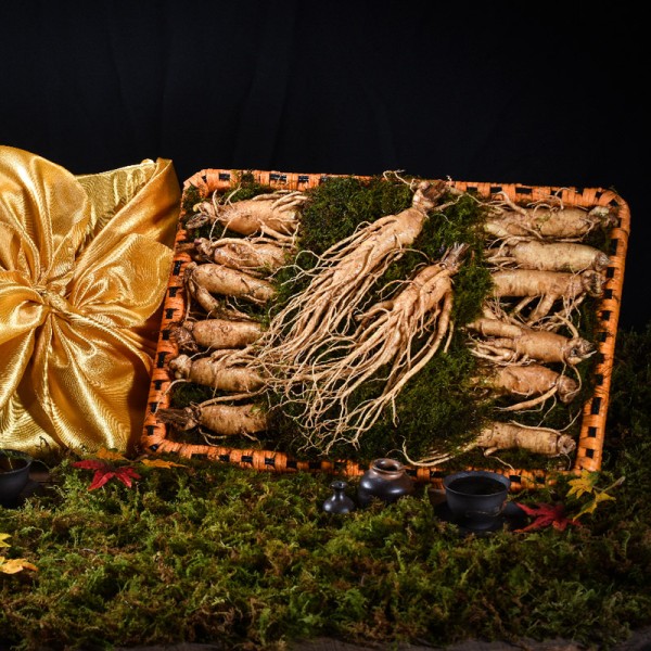 [고급포장][더 기다림] 리얼 골드명작 수삼 선물세트 5호 14뿌리(1kg)