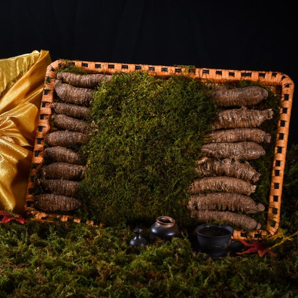 [고급포장][더 기다림] 리얼 골드명작 더덕 프리미엄 특대 선물세트 1.2kg