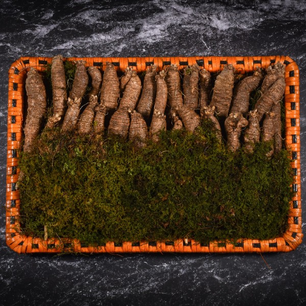 [고급포장][더 기다림] 리얼 골드명작 더덕 프리미엄 특상 선물세트 1호 500g