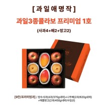[과일애명작] 과일3종콜라보 프리미엄 1호(사과4+배2+망고2)