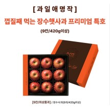 [과일애명작] 껍질째 먹는 장수햇사과 프리미엄 특호(9칸/420g이상)