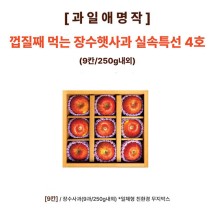 [과일애명작] 껍질째 먹는 장수햇사과 실속특선 4호(9칸/250g내외)