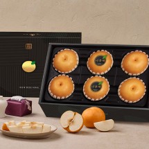 [과일애명작] 명인명과 나주배 프리미엄 1호(5kg/6~7과)