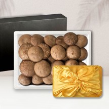 [브라이트데이] 평창 송향고버섯 500g 선물세트