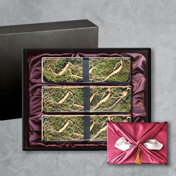 [브라이트데이] 평창산양삼(5년근이상) 선물세트(11뿌리)