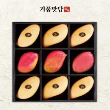 [기품맛담] 고당도 프리미엄 망고2종 선물세트 2호 (골드망고6입/애플망고3입 총 3.2kg)