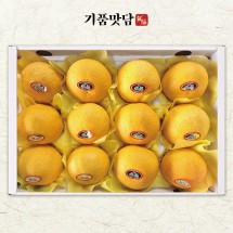 [기품맛담] 제주 황금향 선물세트 1호 (9-13입/특대과 3kg)