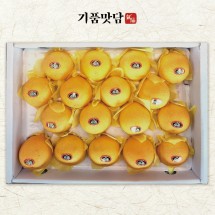 [기품맛담] 제주 황금향 선물세트 2호 (14-19입/특대과 5kg)