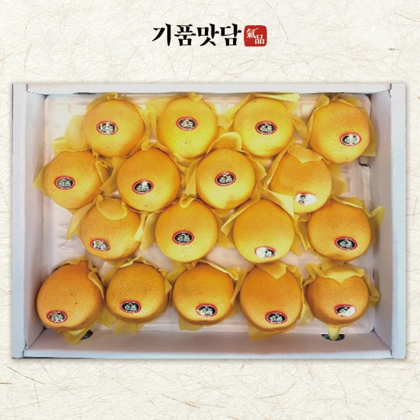 [기품맛담] 제주 황금향 선물세트 2호 (14-19입/특대과 5kg)