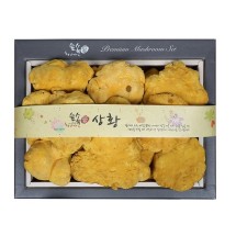 [영진표고] 숲속愛 상황버섯 GIFT