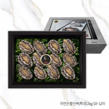 [전복애명작] VVIP 명품 자연산 참전복 2호