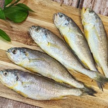 국내산 영광 법성포 조기굴비