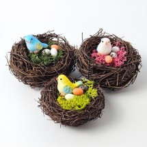 스칸디아모스 공기정화식물 새둥지 만들기 DIY키트 체험