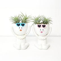 이오난사 다육이 공기정화식물 드로잉 화분 꾸미기 DIY키트 체험